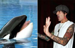 _Wanking-off-a-whale-with-a-cow's-vagina-