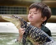 Three-Year-Old Plays With Alligator