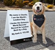 Charlie breaks Guinness World Records