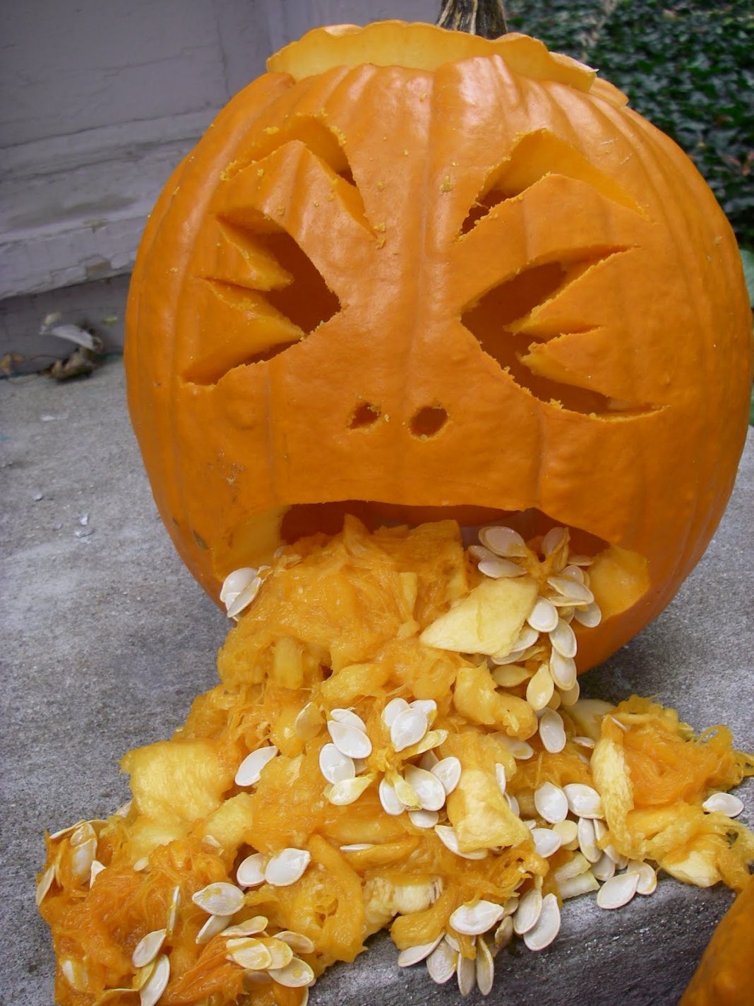 pumpkini