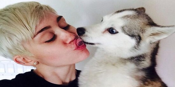 Miley Dog