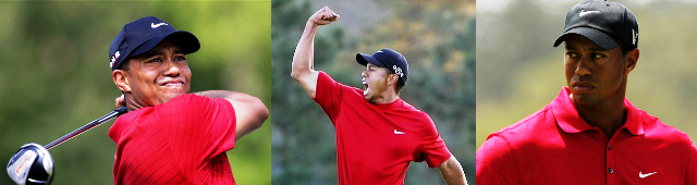 tiger woods