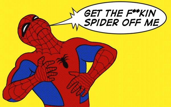 The Spider Who Loved Me