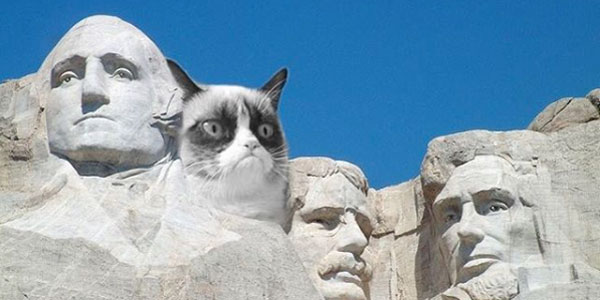 insta famous animals