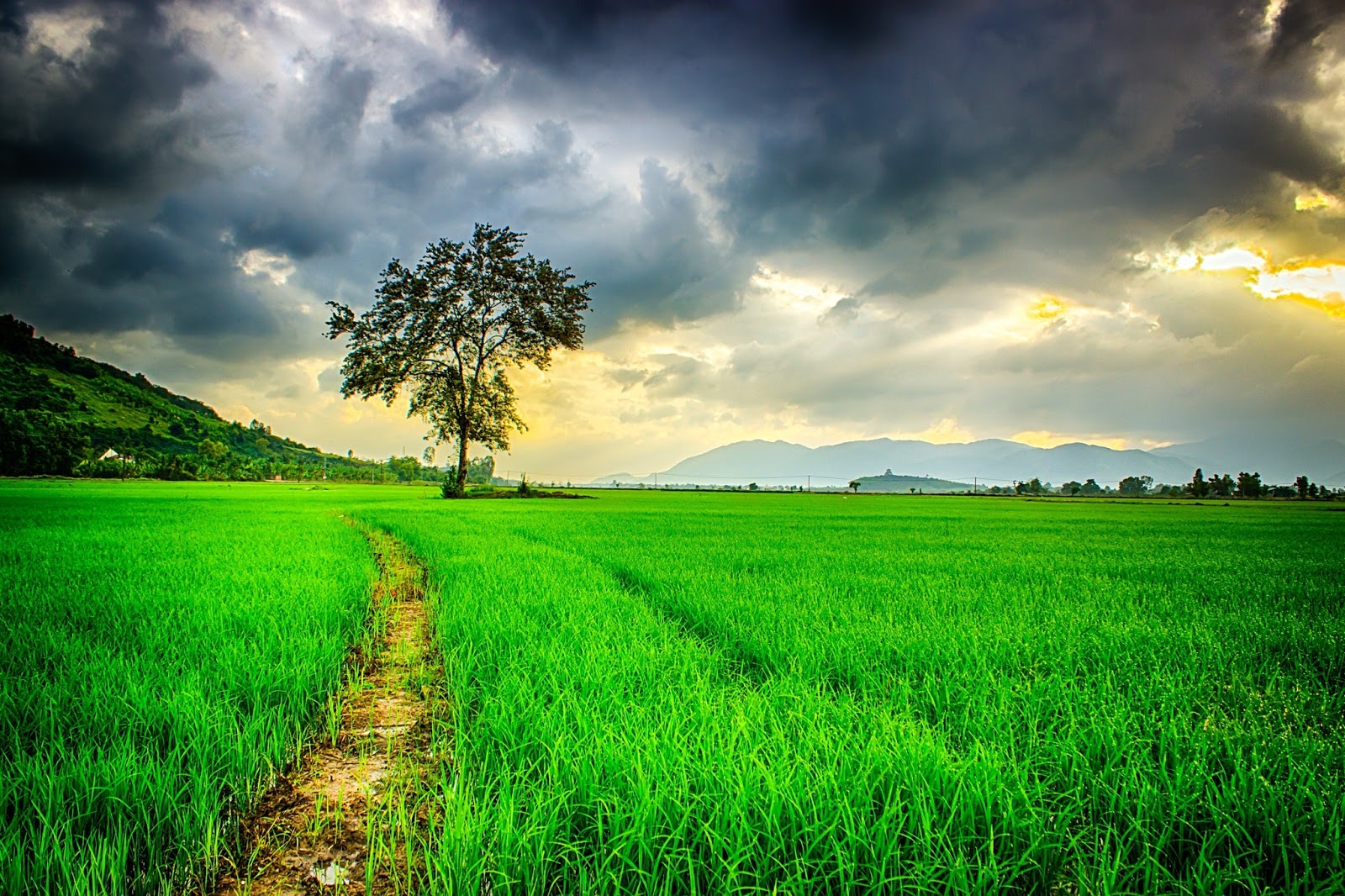 8 Bizarre Facts About Nature