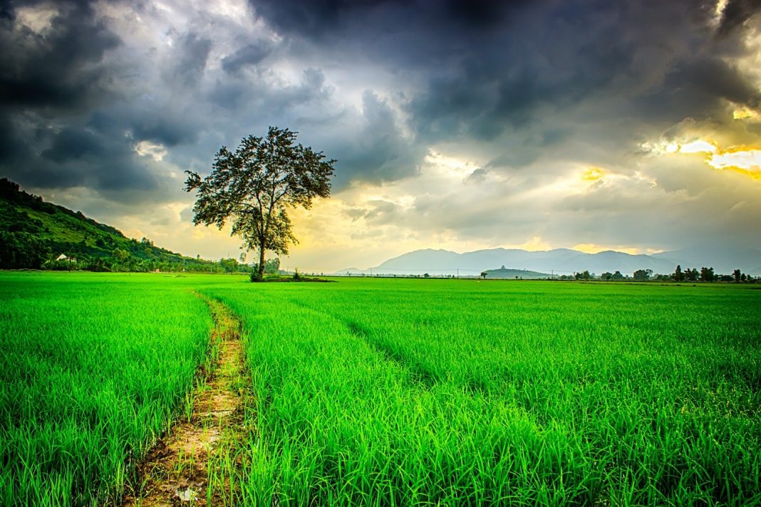 8 Bizarre Facts About Nature