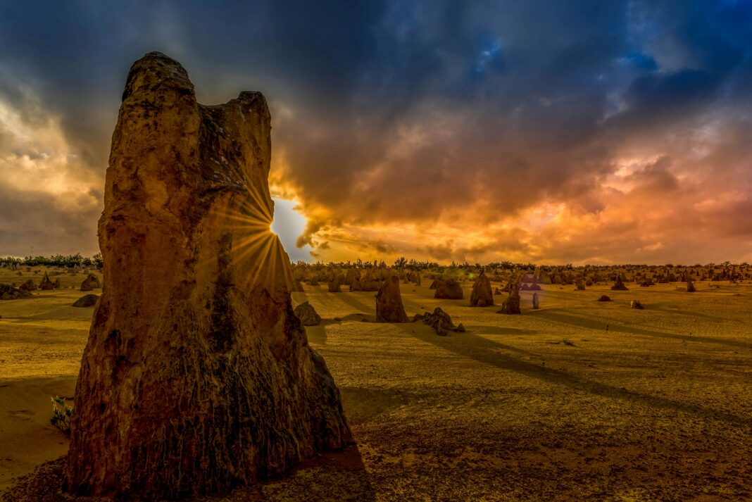 pinnacles desert day trips from perth