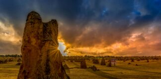 pinnacles desert day trips from perth