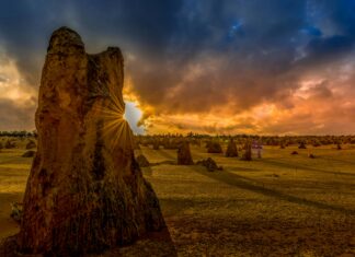 pinnacles desert day trips from perth